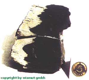 feindisperse Vererzung im Lederschiefer (hell)  das 5-Pfennigstück zum Vergleich der Größe  Bergbaubetrieb Schmirchau, 240m-Sohle